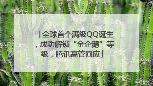 全球首个满级QQ诞生，成功解锁“金企鹅”等级，腾讯高管回应