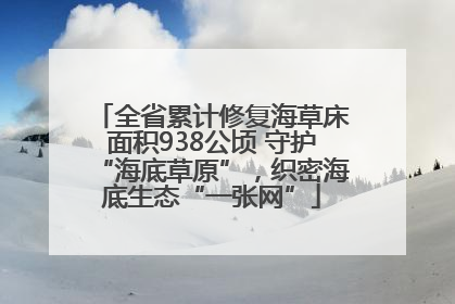 全省累计修复海草床面积938公顷 守护“海底草原”，织密海底生态“一张网”