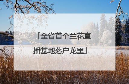 全省首个兰花直播基地落户龙里