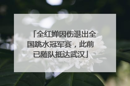 全红婵因伤退出全国跳水冠军赛，此前已随队抵达武汉