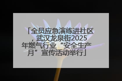 全员应急演练进社区，武汉龙泉街2025年燃气行业“安全生产月”宣传活动举行