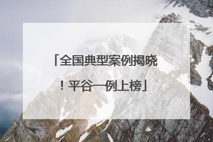 全国典型案例揭晓！平谷一例上榜