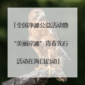 全国净滩公益活动暨“美丽岸滩”青春先行活动在海口启动