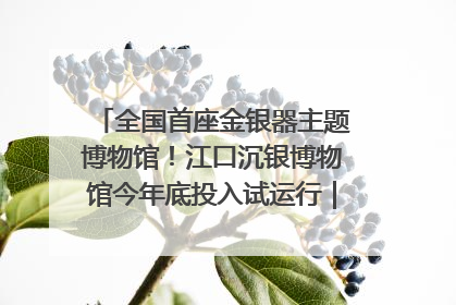 全国首座金银器主题博物馆！江口沉银博物馆今年底投入试运行｜万千气象看四川