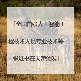 全国首张人工智能工程技术人员专业技术等级证书在天津颁发