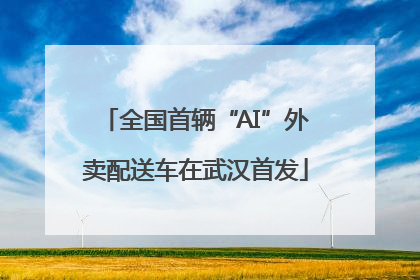 全国首辆“AI”外卖配送车在武汉首发