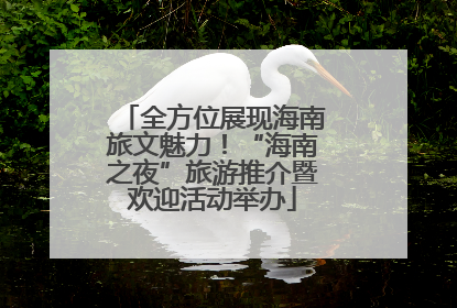 全方位展现海南旅文魅力！“海南之夜”旅游推介暨欢迎活动举办