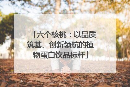 六个核桃：以品质筑基、创新领航的植物蛋白饮品标杆