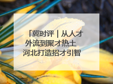 冀时评｜从人才外流到聚才热土 河北打造招才引智“强磁场”