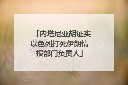 内塔尼亚胡证实以色列打死伊朗情报部门负责人