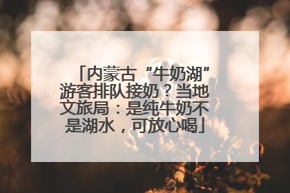 内蒙古“牛奶湖”游客排队接奶？当地文旅局：是纯牛奶不是湖水，可放心喝