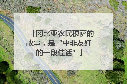 冈比亚农民穆萨的故事，是“中非友好的一段佳话”