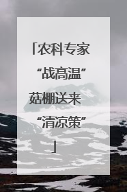 农科专家“战高温” 菇棚送来“清凉策”