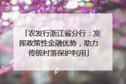 农发行浙江省分行：发挥政策性金融优势，助力传统村落保护利用