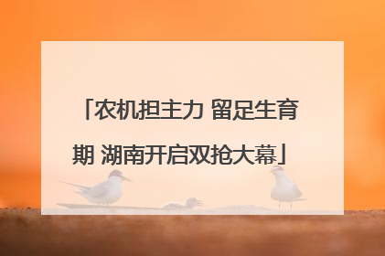 农机担主力 留足生育期 湖南开启双抢大幕