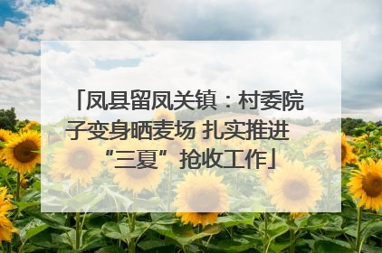 凤县留凤关镇：村委院子变身晒麦场 扎实推进“三夏”抢收工作
