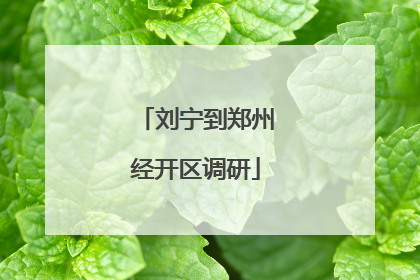 刘宁到郑州经开区调研