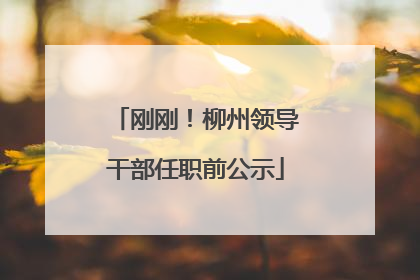 刚刚！柳州领导干部任职前公示