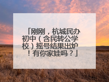 刚刚，杭城民办初中（含民转公学校）摇号结果出炉！有你家娃吗？