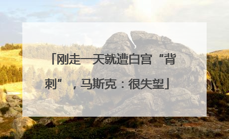 刚走一天就遭白宫“背刺”，马斯克：很失望