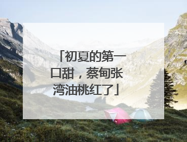 初夏的第一口甜，蔡甸张湾油桃红了