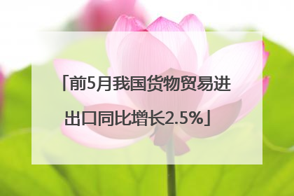 前5月我国货物贸易进出口同比增长2.5%