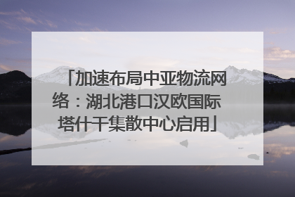 加速布局中亚物流网络：湖北港口汉欧国际塔什干集散中心启用