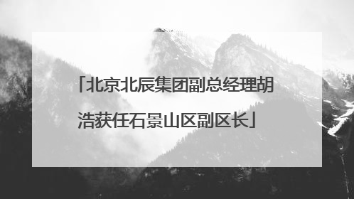 北京北辰集团副总经理胡浩获任石景山区副区长