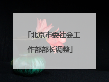 北京市委社会工作部部长调整