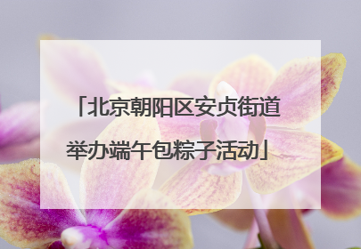北京朝阳区安贞街道举办端午包粽子活动