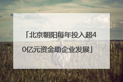 北京朝阳每年投入超40亿元资金助企业发展