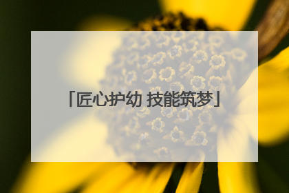 匠心护幼 技能筑梦