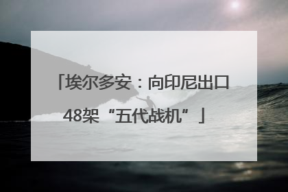 埃尔多安：向印尼出口48架“五代战机”