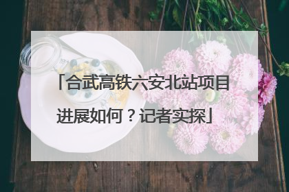 合武高铁六安北站项目进展如何？记者实探
