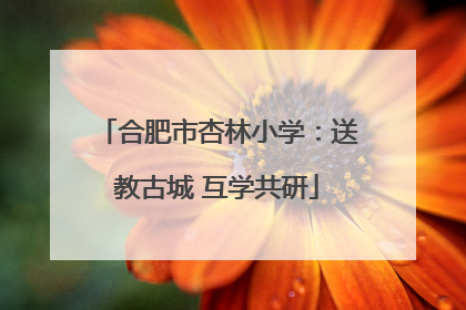 合肥市杏林小学：送教古城 互学共研