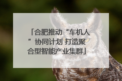 合肥推动“车机人”协同计划 打造聚合型智能产业集群