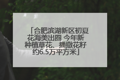合肥滨湖新区初夏花海美出圈 今年新种植草花、播撒花籽约6.5万平方米