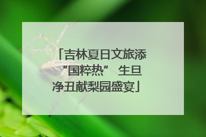 吉林夏日文旅添“国粹热” 生旦净丑献梨园盛宴