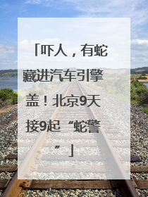 吓人，有蛇藏进汽车引擎盖！北京9天接9起“蛇警”