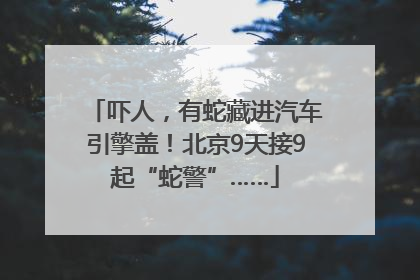 吓人，有蛇藏进汽车引擎盖！北京9天接9起“蛇警”……