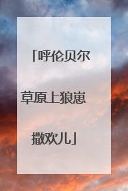 呼伦贝尔草原上狼崽撒欢儿