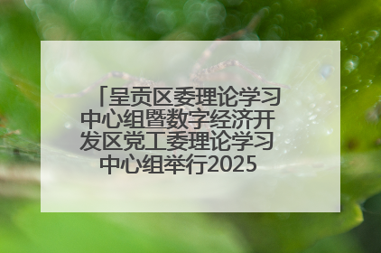 呈贡区委理论学习中心组暨数字经济开发区党工委理论学习中心组举行2025年第七次学习会议