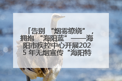 告别 “烟雾缭绕”，拥抱 “海阳蓝”——海阳市疾控中心开展2025 年无烟宣传“海阳特色”实践记录
