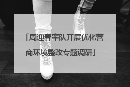 周迎春率队开展优化营商环境整改专题调研