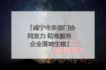 咸宁市多部门协同发力 精准服务企业落地生根