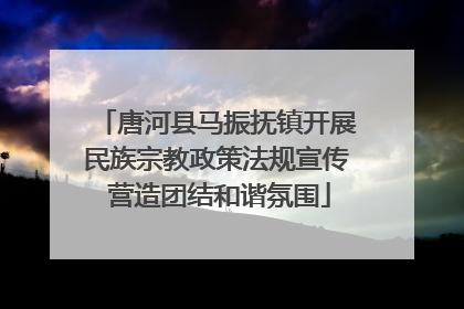 唐河县马振抚镇开展民族宗教政策法规宣传 营造团结和谐氛围