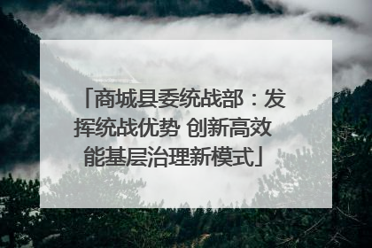 商城县委统战部：发挥统战优势 创新高效能基层治理新模式
