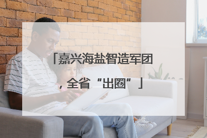 嘉兴海盐智造军团，全省“出圈”
