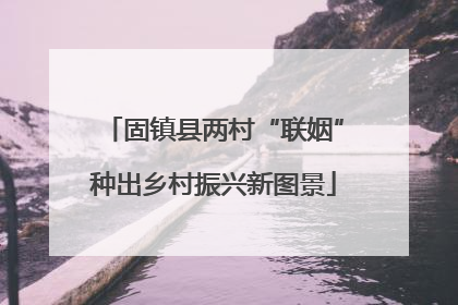 固镇县两村“联姻”种出乡村振兴新图景