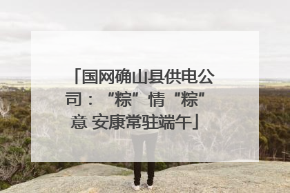 国网确山县供电公司：“粽”情“粽”意 安康常驻端午